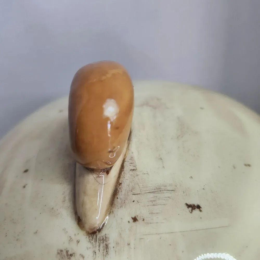 VTG 70’s Ceramic Mushroom Canister Flower Snail Detail Ceramic Cookie Jar 10”